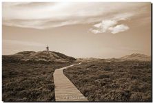 island of amrum.jpg